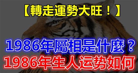 1986年屬什麼|1986年生人運勢預測